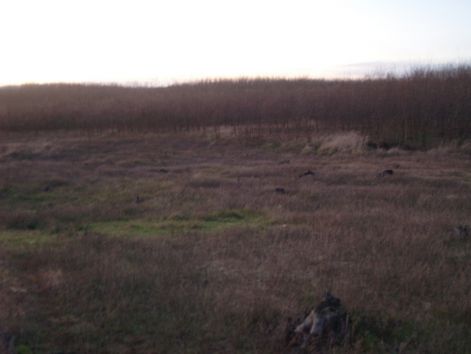 plya_012.jpg