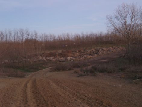 plya_013.jpg