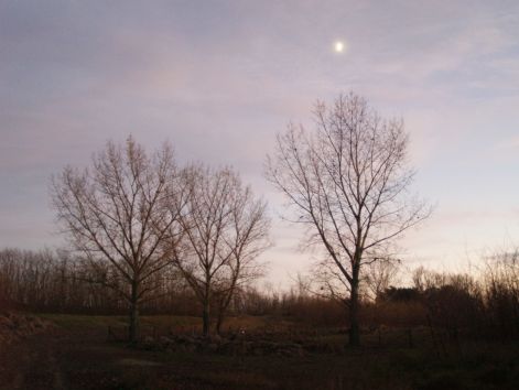 plya_015.jpg